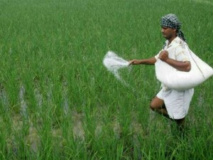 CCP fines fertilizer firms, FMPAC Rs375mn for price fixing CCP fines fertilizer firms, FMPAC Rs375mn for price fixing