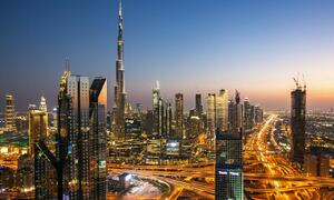 UAE golden visa issue: FTO irked by FBR’s ‘inefficiency’