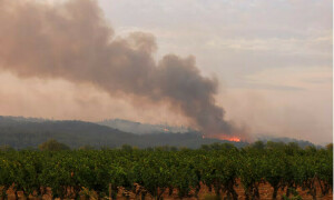 France battles largest wildfire in decades, one person killed France battles largest wildfire in decades, one person killed