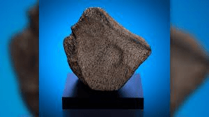 Auction of world&rsquo;s largest Mars meteorite sparks ownership debate