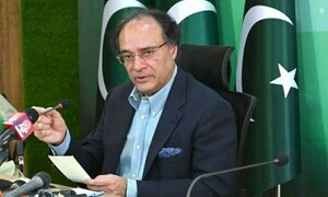 Aurangzeb hints at major US investment
