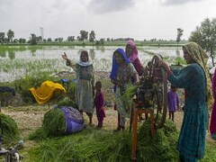 Food supplies at risk due to floods: FD warns Pakistan&rsquo;s economy faces renewed challenges