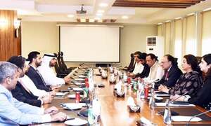 UAE business leaders briefed about economy