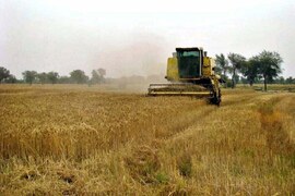Small farmers, underserved areas: ECC urges SBP to notify risk coverage scheme
