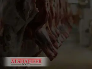 Al Shaheer Corporation resumes production at both manufacturing facilities