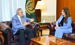 US companies &lsquo;strongly desire&rsquo; to invest in Pakistan&rsquo;s energy, critical minerals, IT sectors