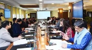 High-level body formed to classify petroleum SOEs as strategic or essential High-level body formed to classify petroleum SOEs as strategic or essential