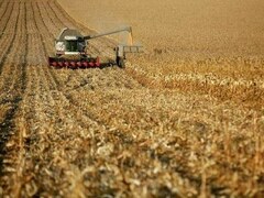 China to set up agricultural machinery plants in Punjab