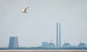 Repairs start near Ukraine&rsquo;s Zaporizhzhia plant after IAEA-brokered local ceasefire