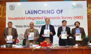 Govt unveils first-ever digital Household Integrated Economic Survey
