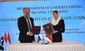 Pak-Indonesia CEPA talks gain momentum