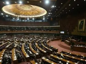 NA passes two key bills