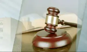 TRG International says Bermuda court ordered transfer of Zia Chishti&rsquo;s shares to court receiver