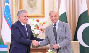 PM tells Uzbek president will work closely on regional connectivity