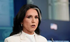 Gabbard rejects claims she withheld whistleblower complaint from Congress