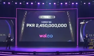 Multan Sultans sold to Walee Technologies for record Rs2.45bn Multan Sultans sold to Walee Technologies for record Rs2.45bn