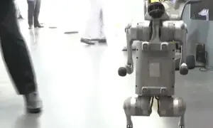 Indian professor&rsquo;s robot dog claim at AI summit sparks uproar