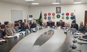 Govt assures overseas Pakistanis of full support for Spanish Residency Card process