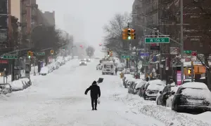Powerful winter storm shuts schools, disrupts travel across US Northeast