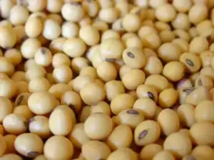 Soybeans fall for third session on US export worries; wheat, corn firm