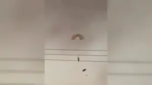 Several US warplanes crashed, crew survived: Kuwait defence ministry