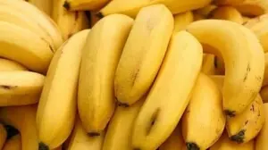 Banana waste to textile fiber: SMEDA launches ‘innovative’ project
