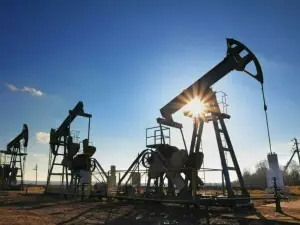 Rates stay put: Govt to absorb global oil shocks
