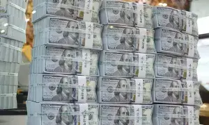 Forex reserves rise to USD21.74bn Forex reserves rise to USD21.74bn