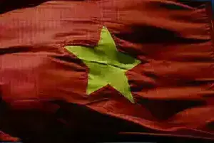 Vietnam raises $133 mln in government bond auction