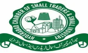 ‘Rising imports, high petrol prices push economy to critical juncture’