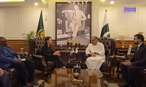 Interior minister, US ambassador review security arrangements for Islamabad dialogue