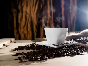 Uganda coffee exports rise 17% in February on higher production