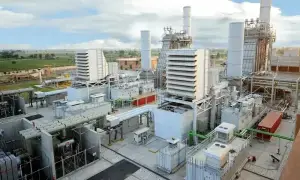 UK HC presses govt on Halmore issue UK HC presses govt on Halmore issue