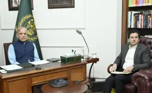 PM Shehbaz orders formulation of strategy to stabilise electricity tariffs