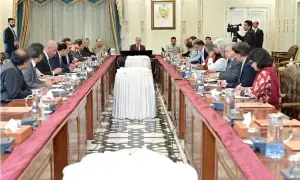 PM Shehbaz directs expedited work on new fertilizer plants to boost local production