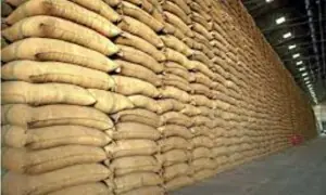 Wheat market: warehousing the wrong problem