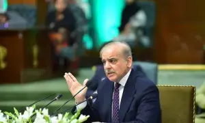 PM Shehbaz, Qatari counterpart discuss evolving regional situation