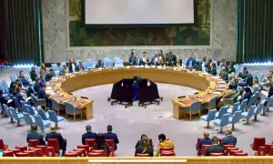 UNSC adopts Pakistan-drafted annual report by consensus