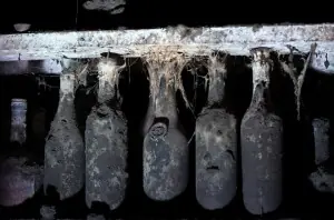 Georgia uncorks the value of Stalin's 40,000-bottle wine collection