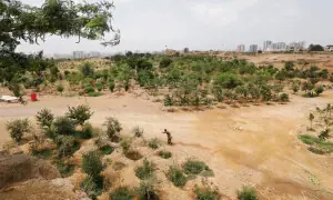KMC halts work near Hill Park, approaches police over illegal land occupation