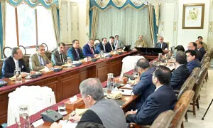 PM Shehbaz vows more measures for industrial growth in upcoming budget