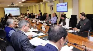 ECC approves key grants, sectoral policy measures