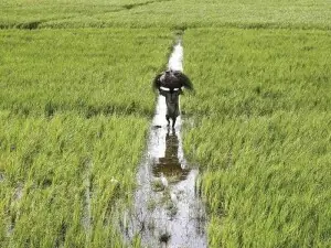 Pakistan&rsquo;s irrigation system dying