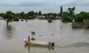 آفات سے نمٹنے کے لیے فنڈنگ بڑھا دی گئی