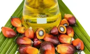 Palm oil retreats on profit taking, weaker rivals