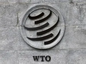 WTO body agrees to examine Indian solar tariffs, official says