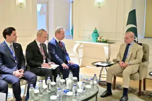 ترک سرمایہ کاروں کی پاکستان کے اسٹریٹجک شعبوں میں دلچسپی ترک سرمایہ کاروں کی پاکستان کے اسٹریٹجک شعبوں میں دلچسپی