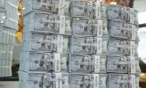 SBP achieves FX reserves target SBP achieves FX reserves target