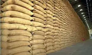 Punjab begins release of wheat from stocks at the rate of Rs3,800/40kg Punjab begins release of wheat from stocks at the rate of Rs3,800/40kg