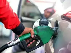 Govt defends its daily fuel pricing decision Govt defends its daily fuel pricing decision